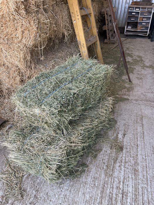 Baloti mici de lucerna