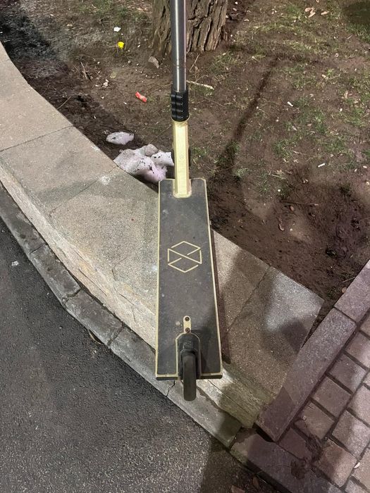 Native stem complete saundezy