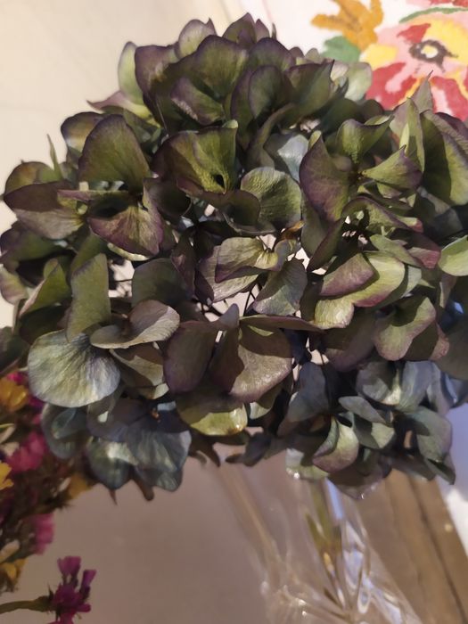 Стабилизированные букеты