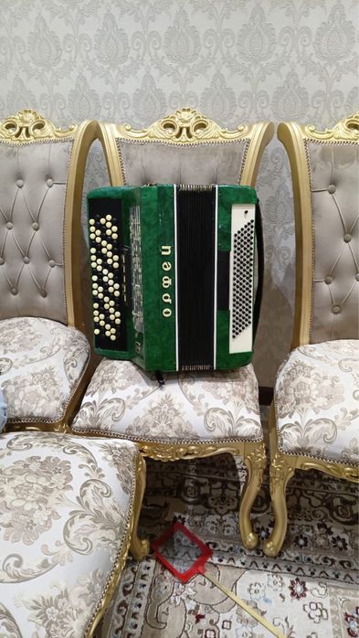 Баян жақсы жағдайда