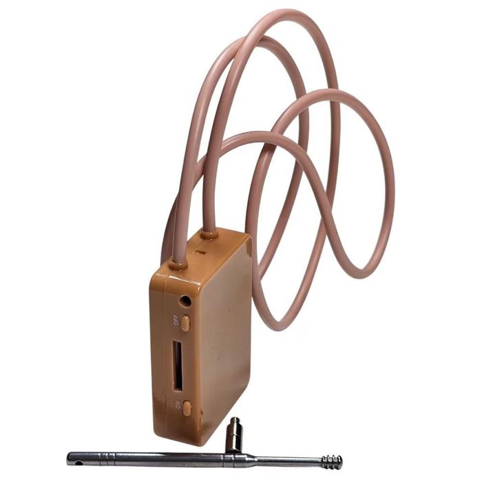 Бръмбар за преписване