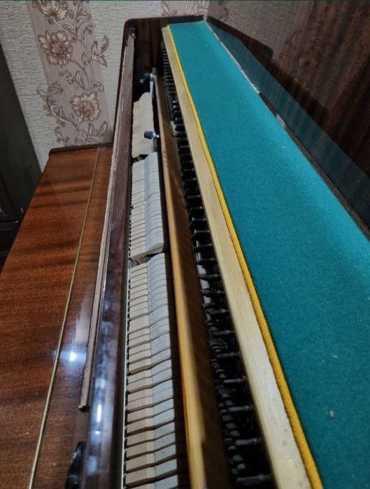 Srocna. Lirika pianina