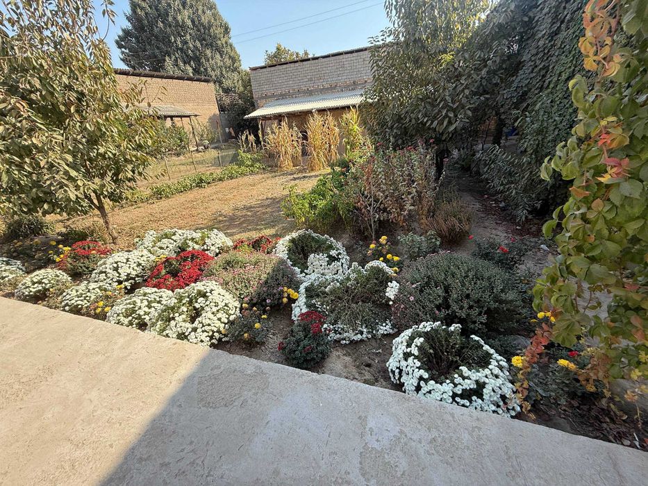 Катта уй сотилади Тинчликда куча юзида 1чи линия 8 хона