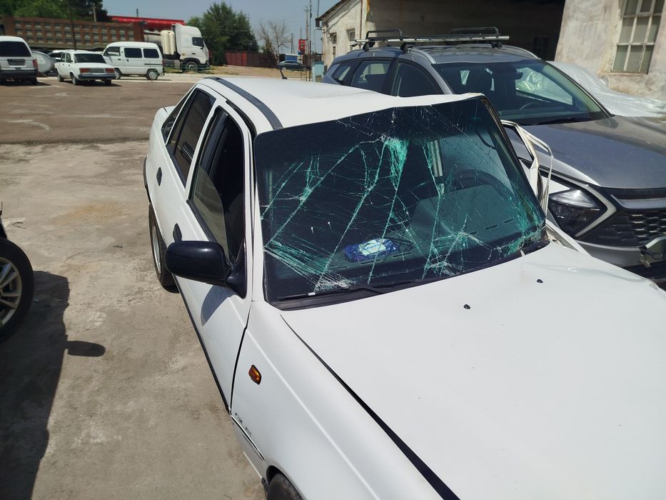 Аврийний нексия1