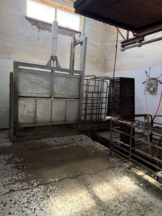 Убойный пункт для забоя скота