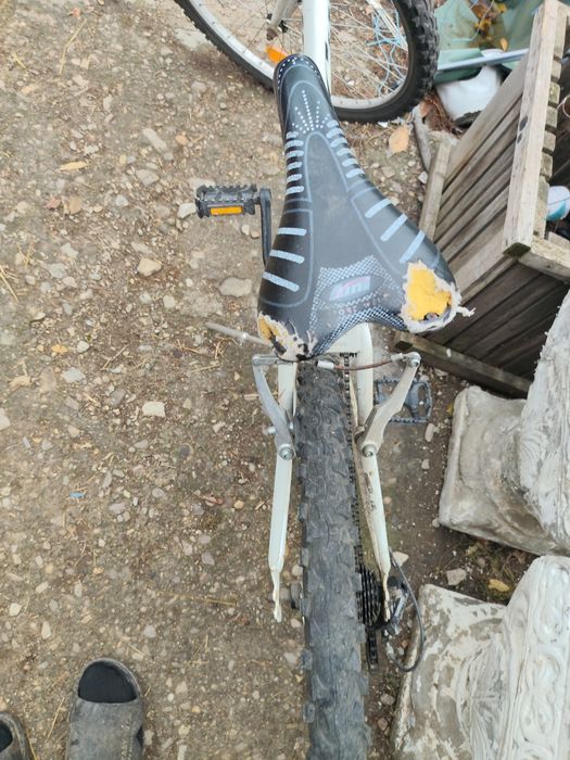 Bicicleta de dama la schimb cu animale , capră,iede,miele.etc
