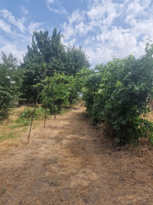 Участок с домом Ташкентская область