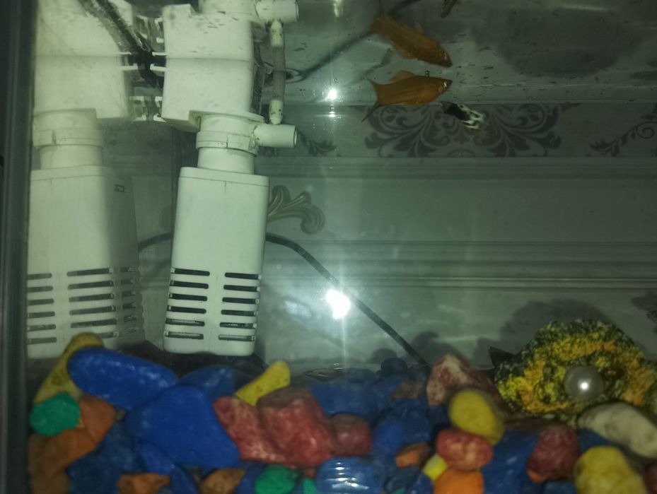 Продам оквариум для быбок