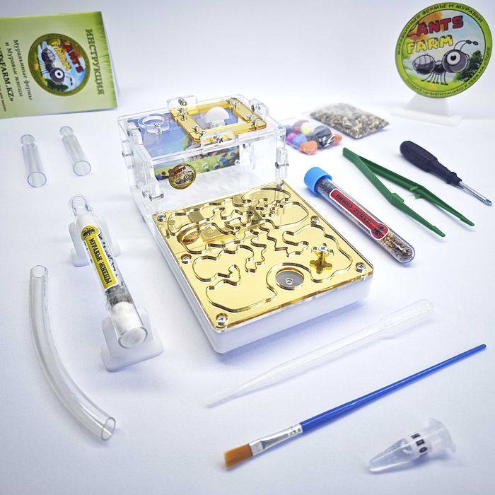 Муравьиная ферма - Муравьи жнецы ||| ГИПСОВЫЙ Формикарий "START"