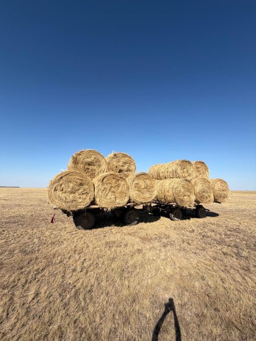 Шөп пішен сатылады сено продажа