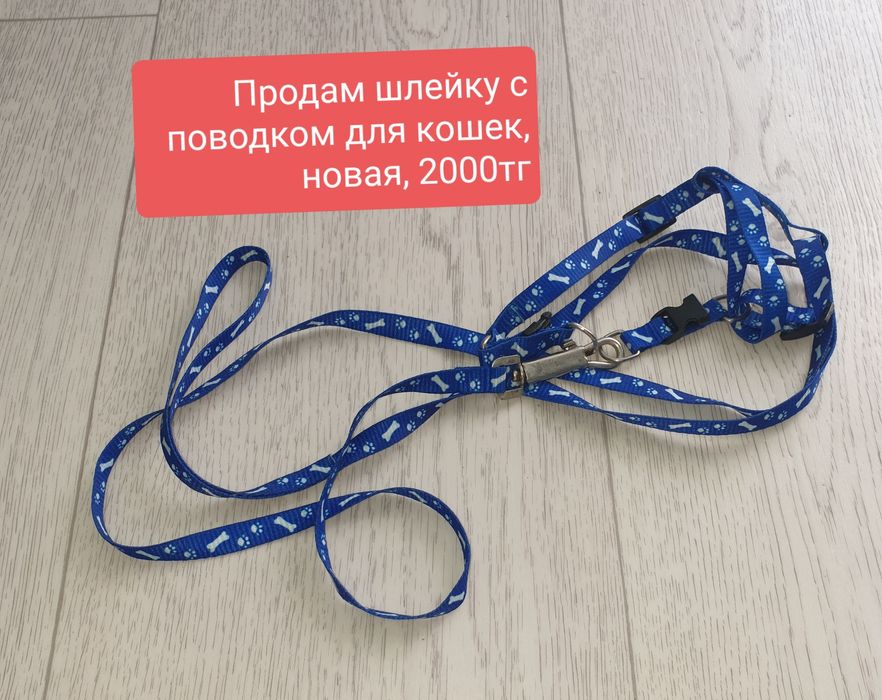 Продам товары для кошек