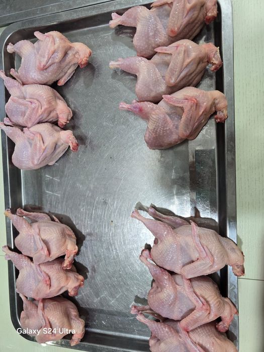 Перепела  . Мясо перепелки  . Бөдене еті  .