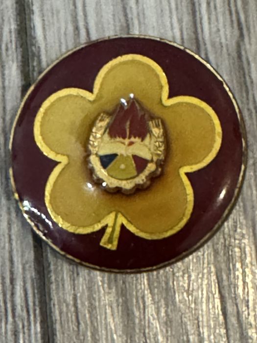 Accesorii pionier  perioada comunista