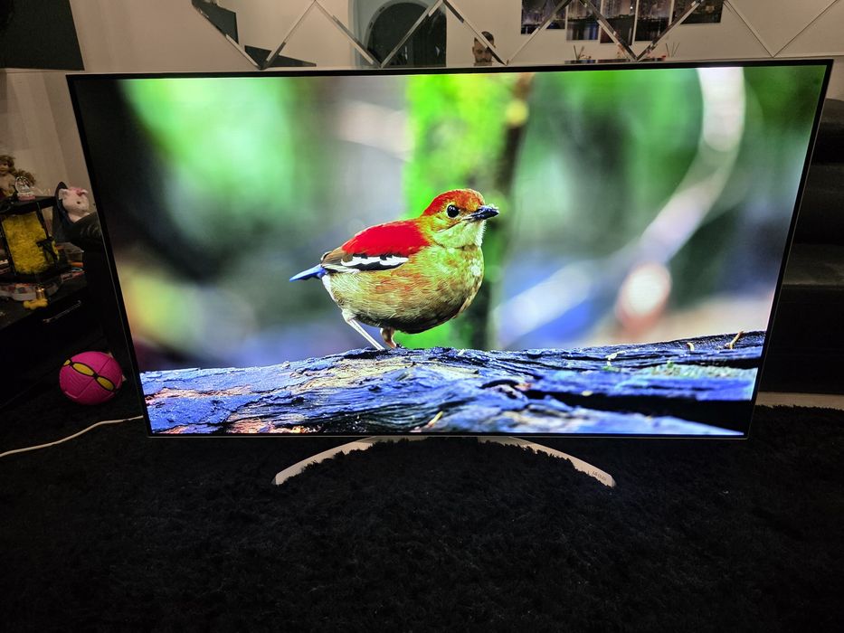 Lg Oled 65"ingi, 164cm diagonala, OLED55B7D