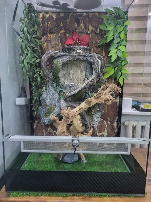 Террариум  для хамелеона