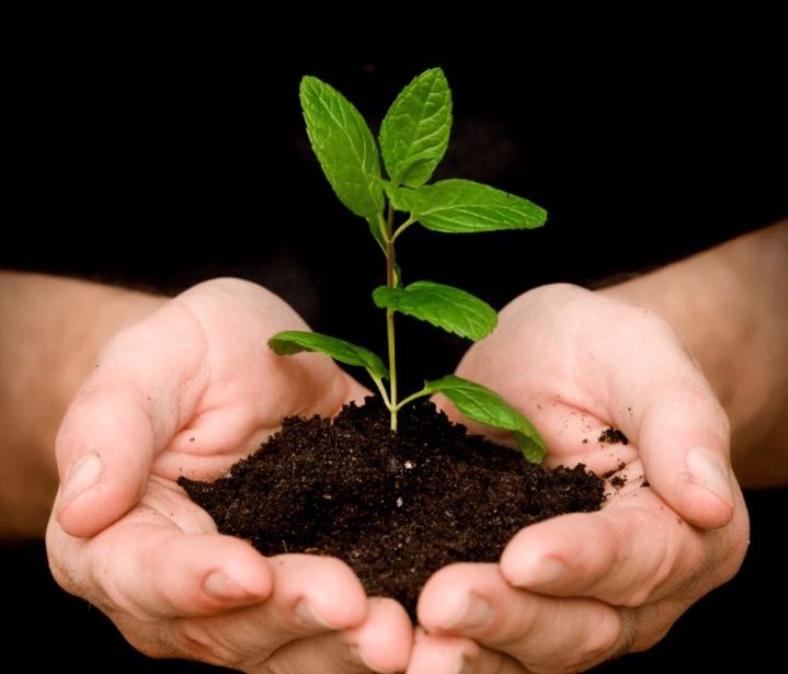 Чернозём Объемы доставка