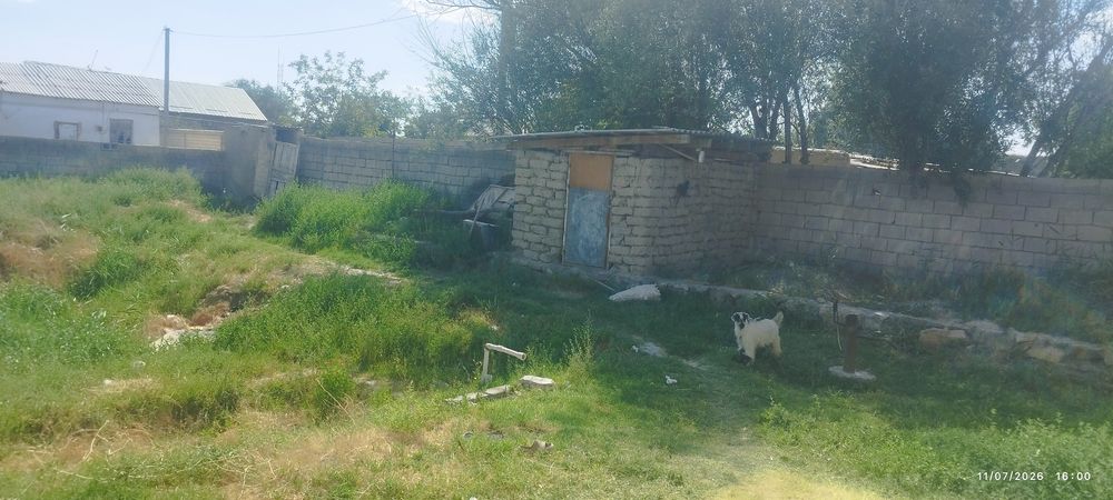 Navoiy viloyati Navbahor tumani Beshrabot kuchasi