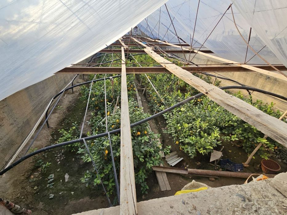 Yashashga tayyor hovli, hamma sharoitlari bilan, parnik, svet, gaz,