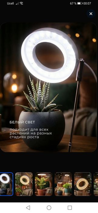 Фито лампа для растений