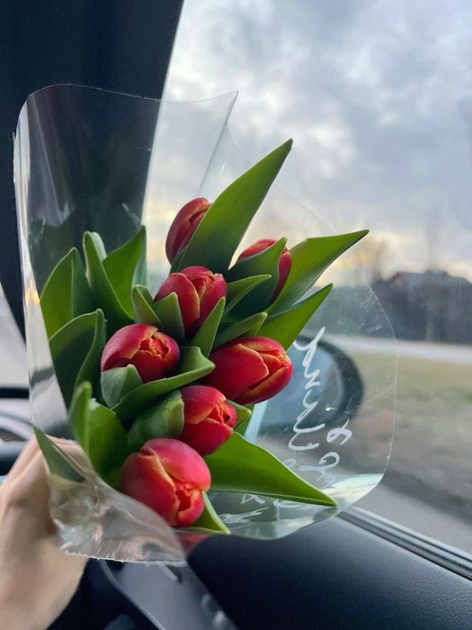 Тюльпаны оптом в Ташкенте