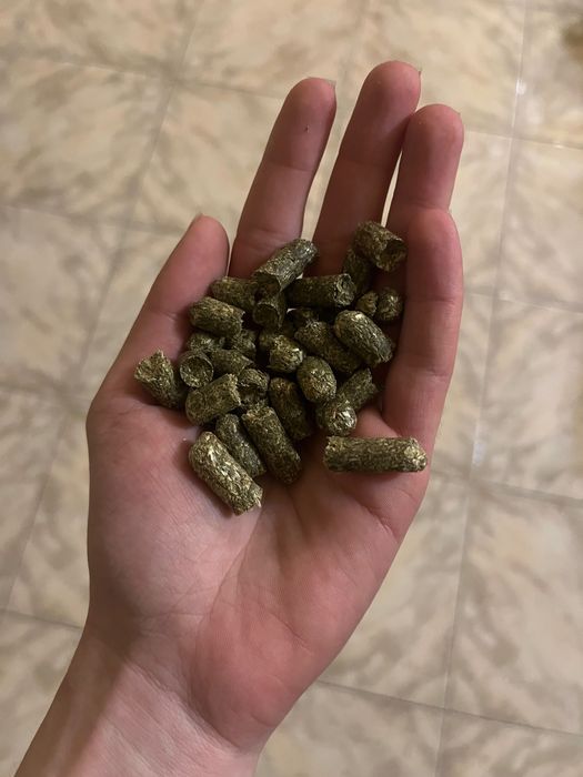 Сено/ Люцерна/ Микс храна за малки и големи зайчета