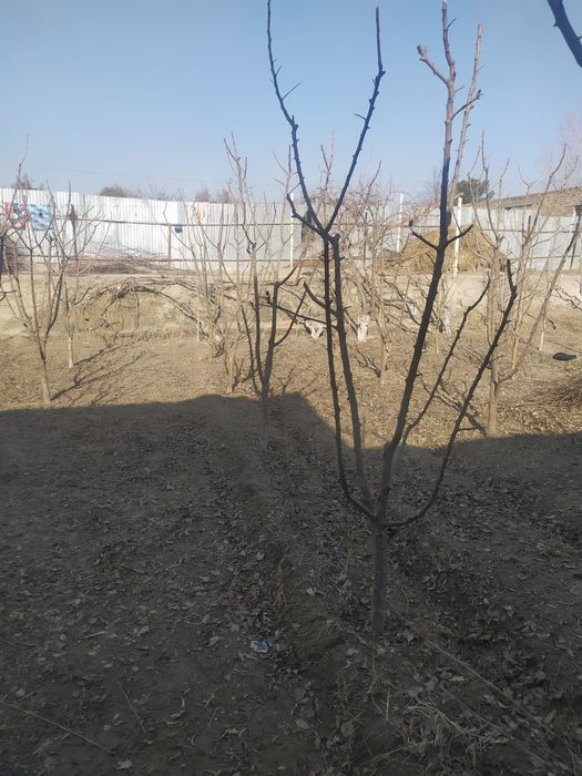 Qurilish uchun Yer maydoni sotiladi