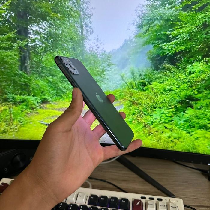 iPhone 11 Pro Max Srochni