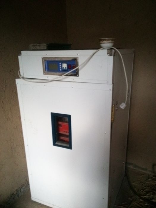 Продам инкубатор