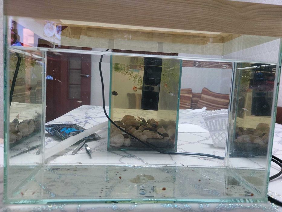 аквариум 20 литров