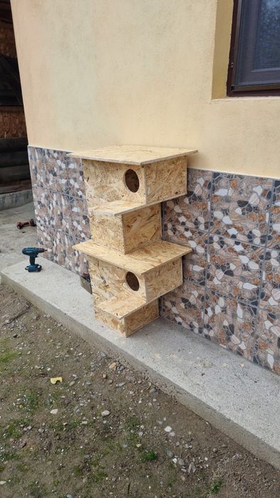 Cuibare rațe exotice