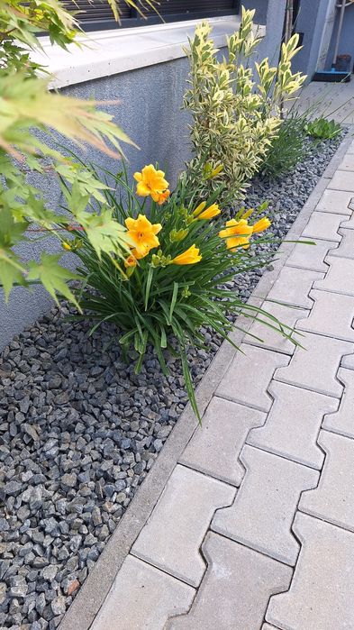 PIATRA DECORATIVA  Gri Antracit/Albastruie Gradina Ornamentala