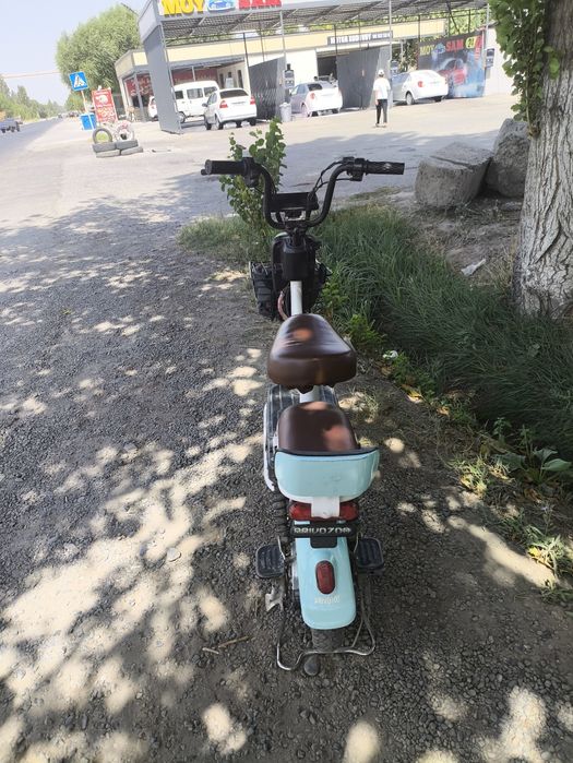 Skuter olegonla yozila