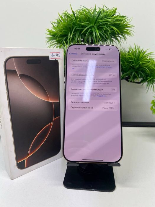 IPhone 16 Pro Max 256 GB