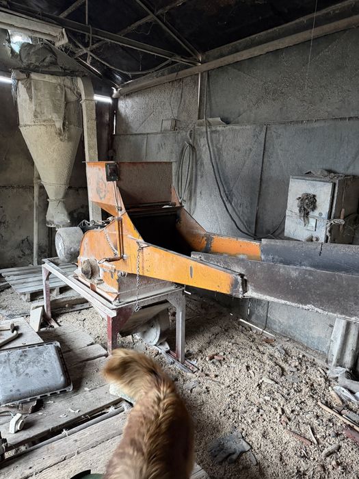 Vand moara pentru animale