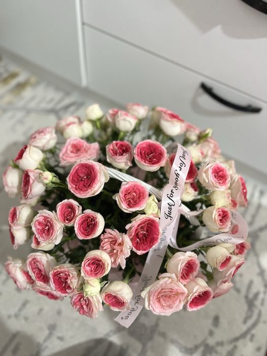 Срочно продам цветы