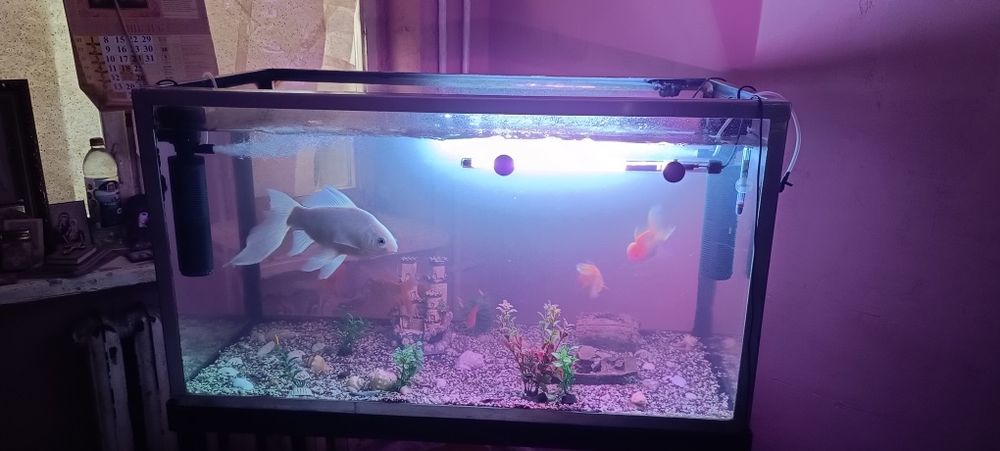 Продам аквариум с тумбой.