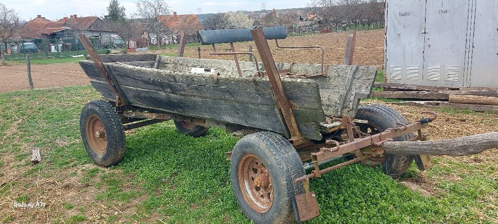 Caruta de 2 cai cu butuci de aro vand sau schimb cu oi