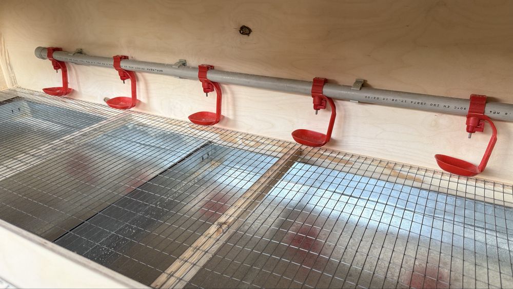 Брудер для выведения птиц