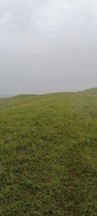 Земля 12 га в узынагаш
