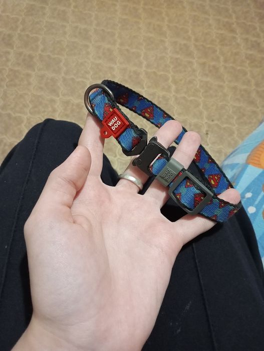 Продаю амуницию для собак