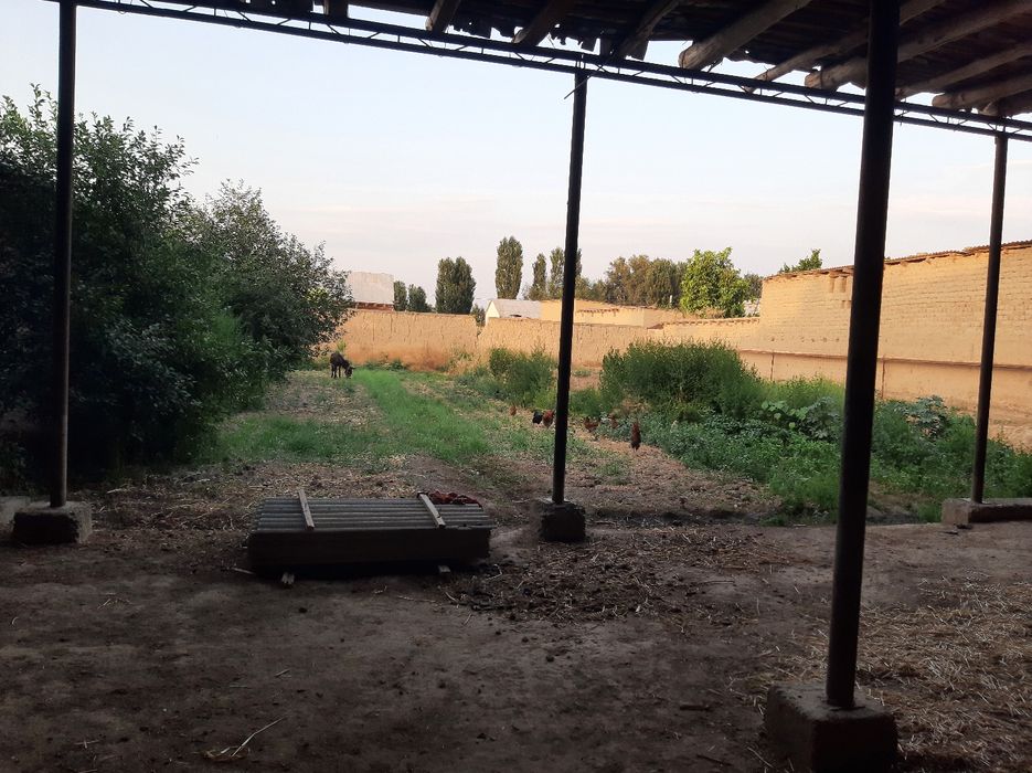 Toshkent viloyati Bekabod tumani,2 savxoz uy,hovli sotiladi 13 sotix
