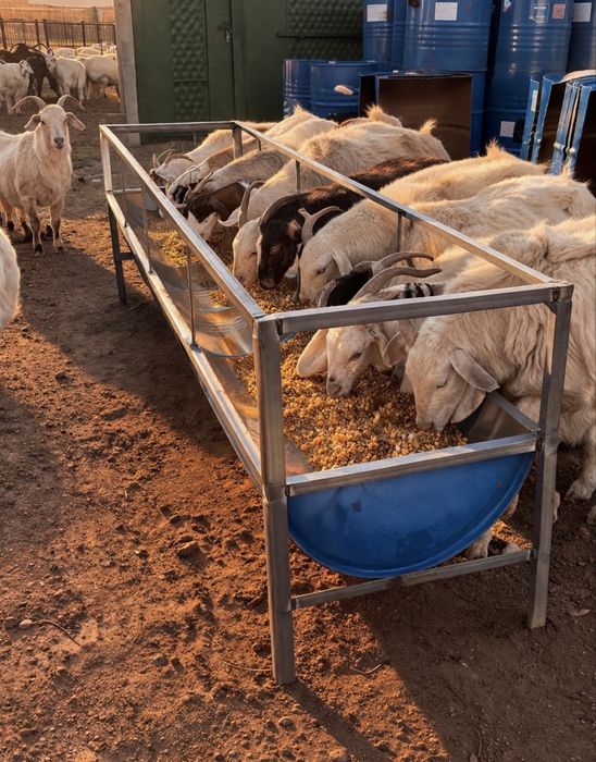 Астау науа кормушка ақыр