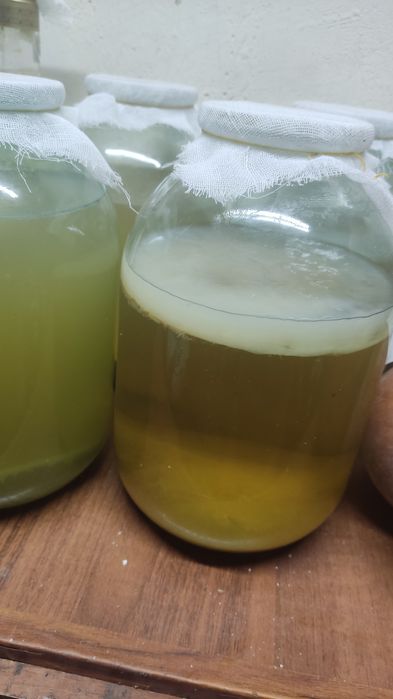 Домашний яблочный уксус