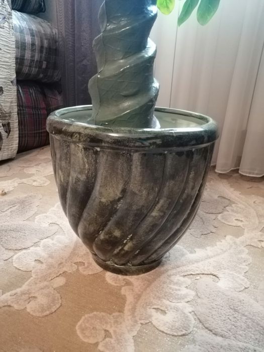 Растение в горшке