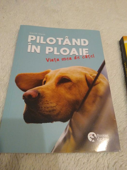 3 cărți  editura Booklet Pilotand in ploaie Agent Secret Un sat ciudat