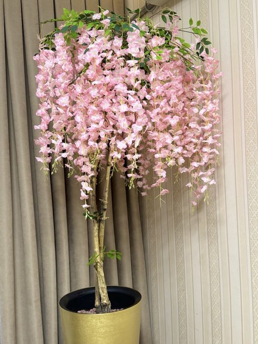 Декоративная глинция