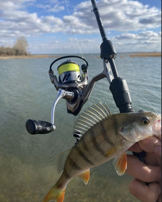 Спиннинг-Ультролайт с Катушкой Dayo 1-5г