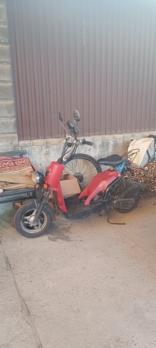 Хонда бите / Honda bite 50