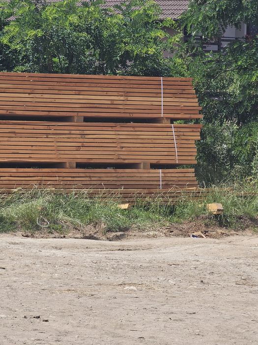 Bustean LARICE  de vanzare