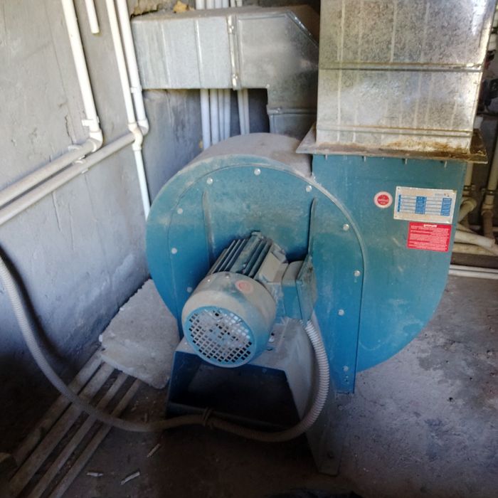 Продается улитка